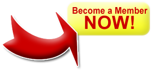 Shipping Loads for your Empty Trucks!